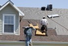 Pathoskylights-2.jpg; ?>